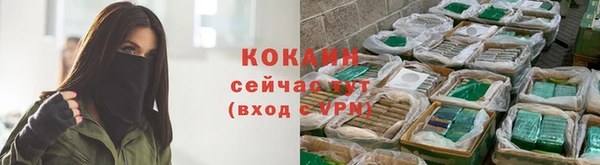 крисы Алзамай