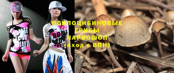 крисы Алзамай