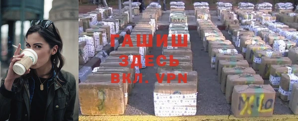 крисы Алзамай